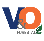 Logo VYO - Costa Rica - VYO